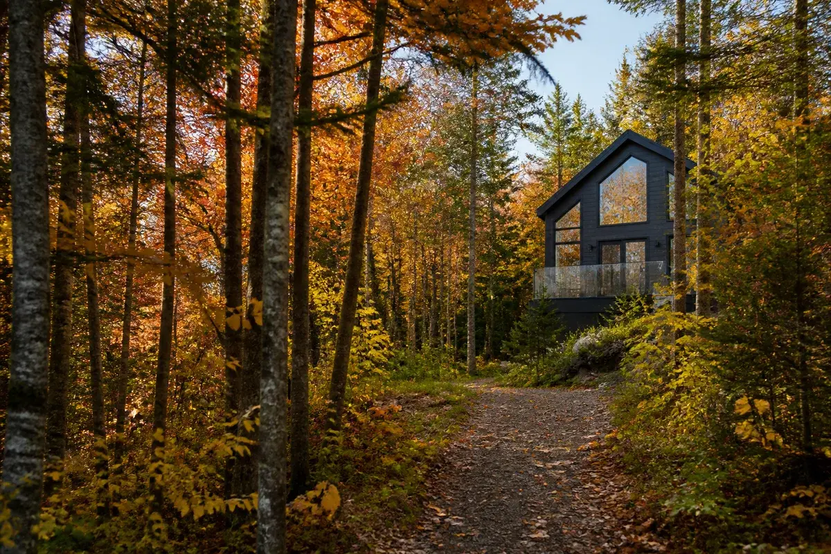 Ambiance d’automne : chalet contemporain et forêt aux couleurs chaudes